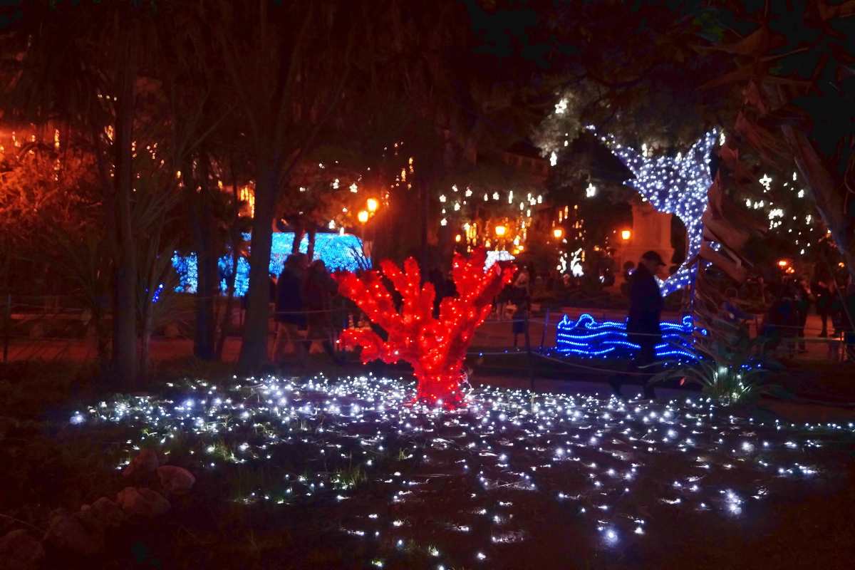 Luci d'artista Luminarie di Natale Salerno